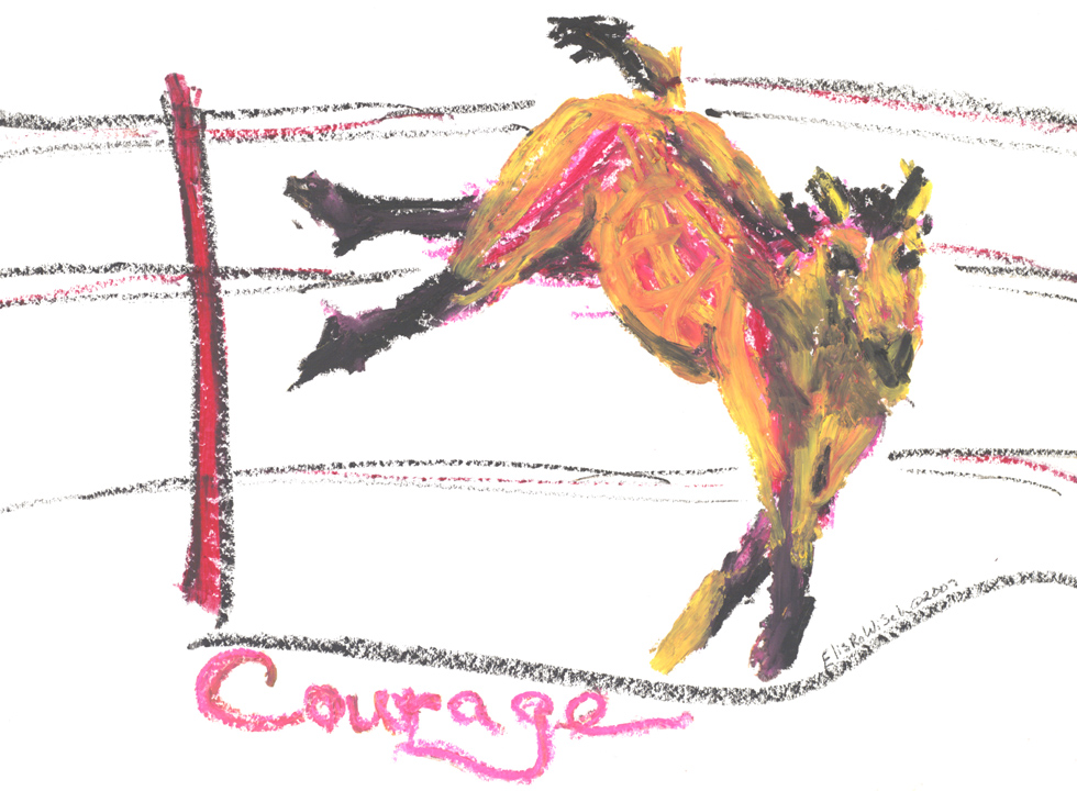 [robin-courage.jpg]