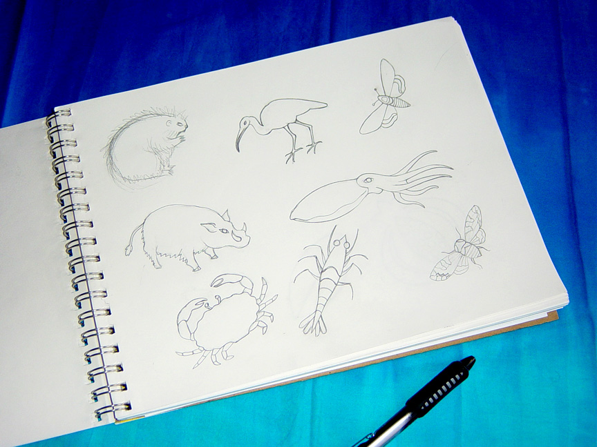 [animal+sketches.jpg]
