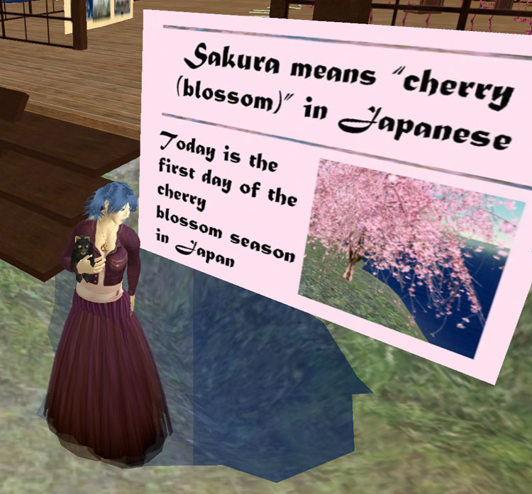[27-03+sakura+means+cherry+blossom.jpg]