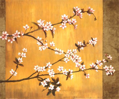 [E.Lange_CherryBlossoms.jpg]
