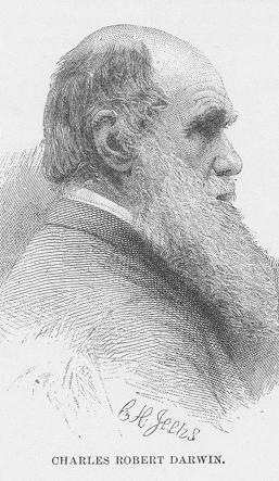 [Darwin.etching.JPG]