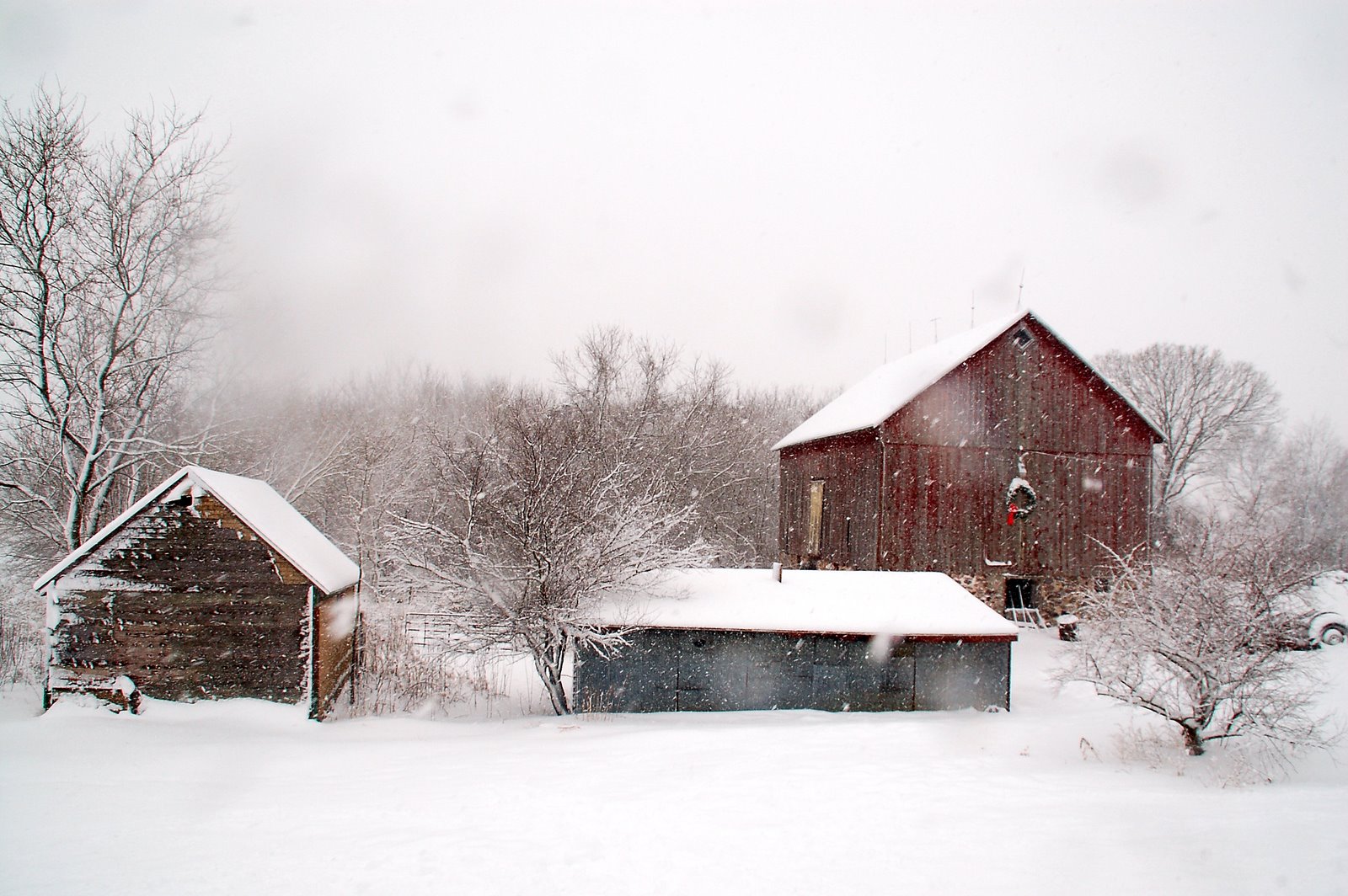 [winter+farm.JPG]