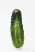 [pickle+1.jpg]
