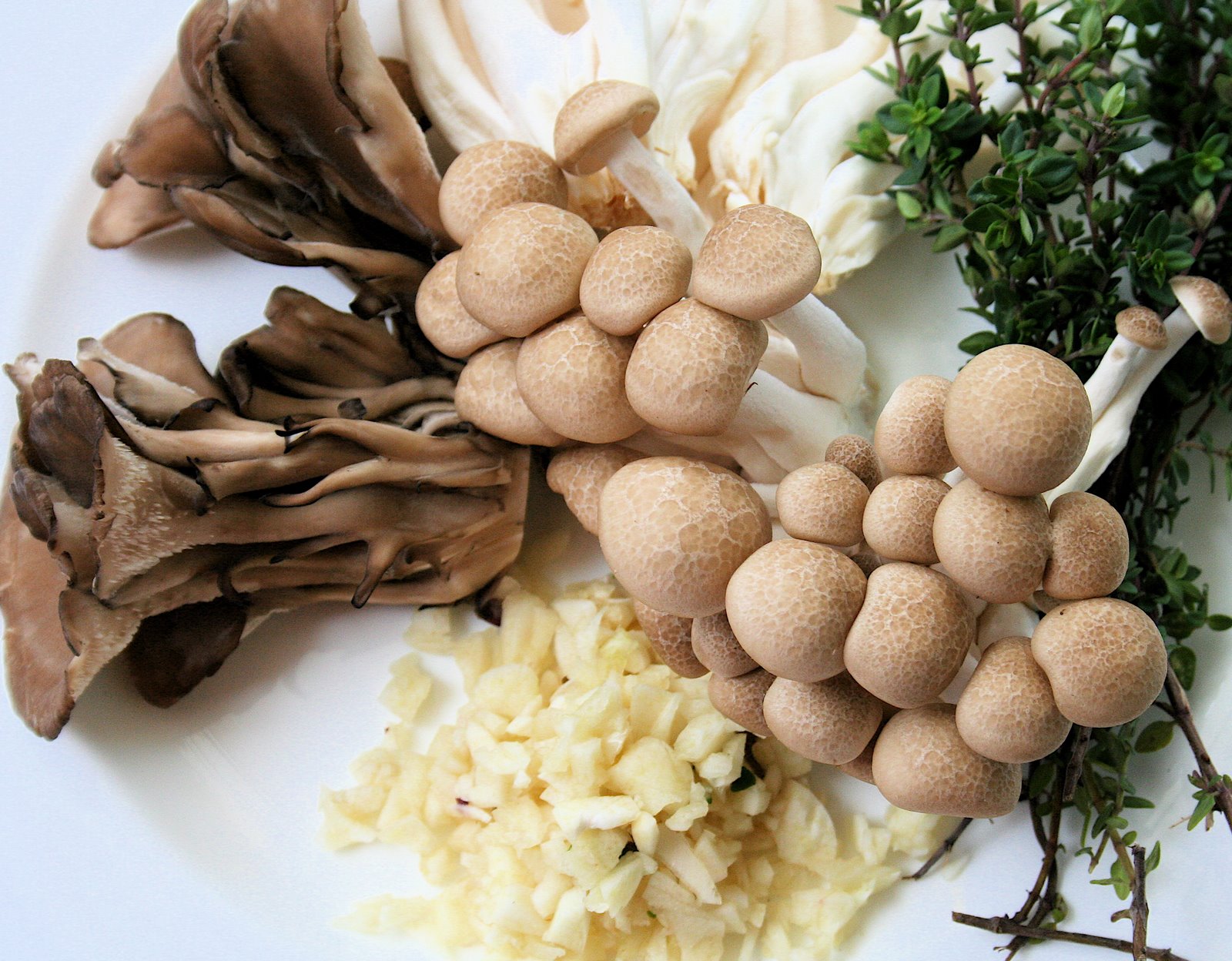 [mushrooms:garlic:thymeII.JPG]