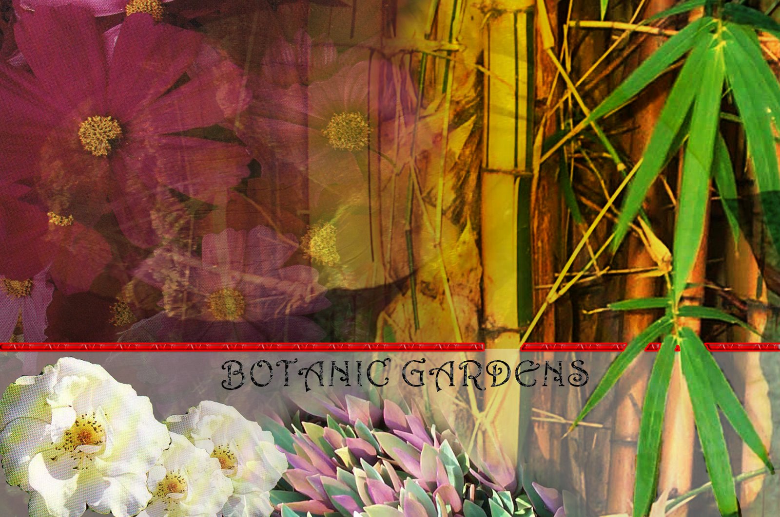[Botanic+Garden.jpg]