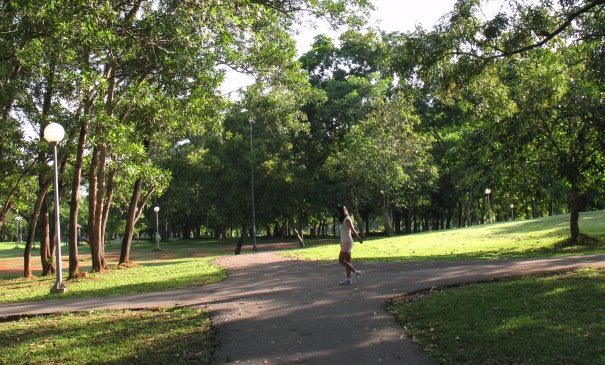 On a beautiful clear morning time concluding calendar week I decided to cheque out the large common on the due west of  Bangkok Map; Suan Luang Park (Phuket Town)