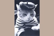 [cat+beret+blog.jpg]