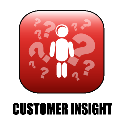 [customer_insight.gif]