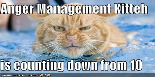 [lolcats-funny-pictures-angermanagement.jpg]