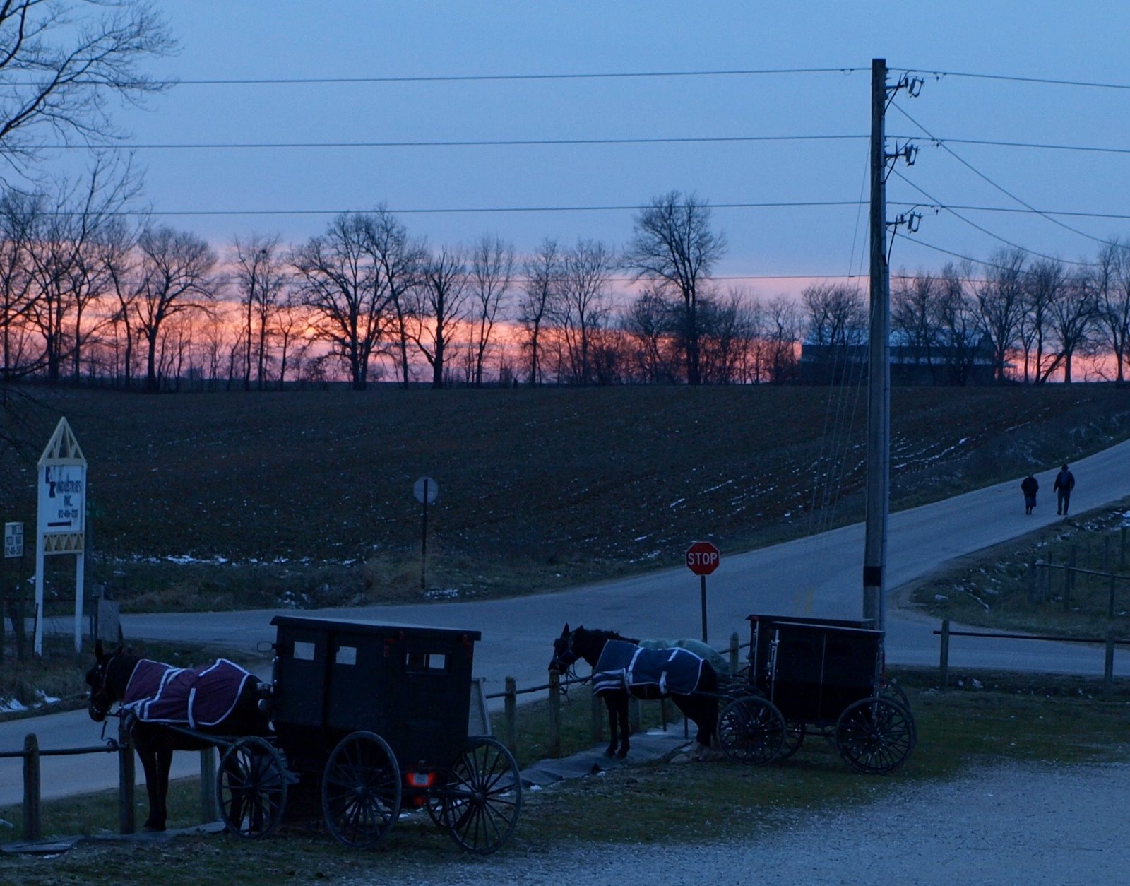 [Buggy+and+Horse+and+Sunset.JPG]