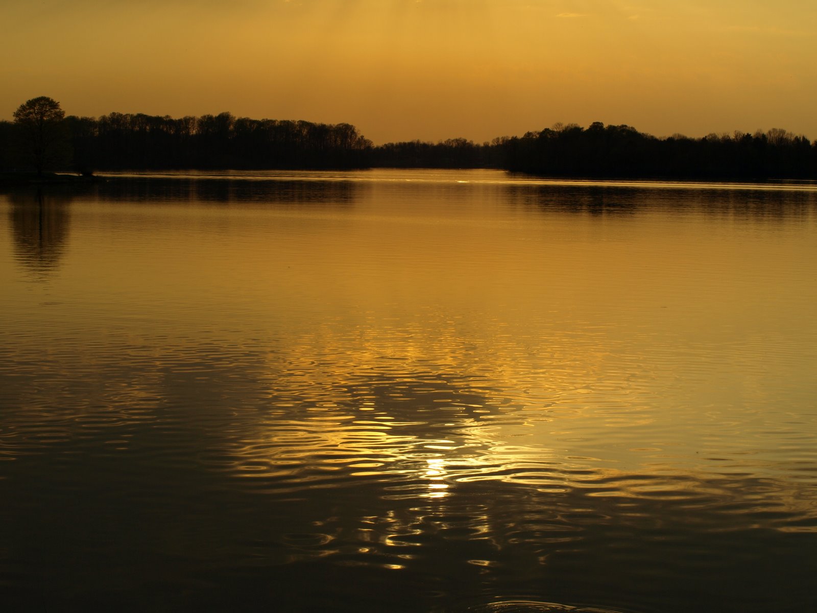 [sun+in+the+lake.JPG]