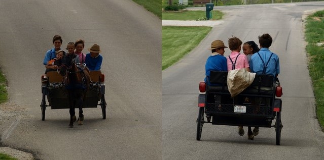 [amish+kids+coming+and+going+collage.jpg]