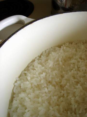 [rice.JPG]