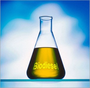 [biodiesel2.jpg]