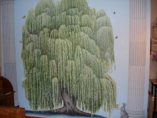 [willow+tree.jpg]