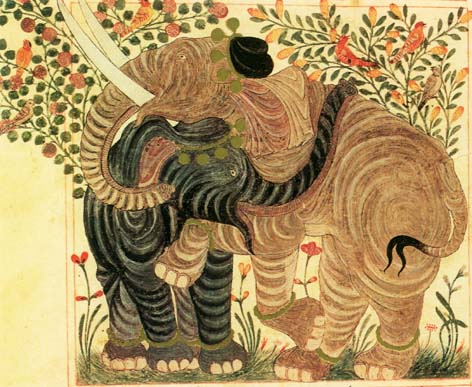 [elefantes.color]