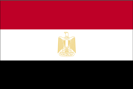 [large_flag_of_egypt.gif]