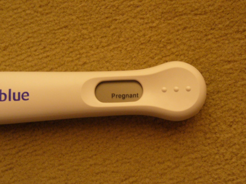 [pregnant.JPG]