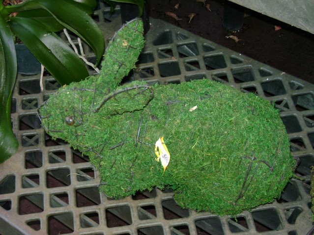 [rabbit+topiary.jpg]