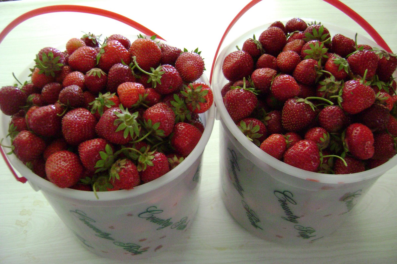 [yummy+strawberries.jpg]