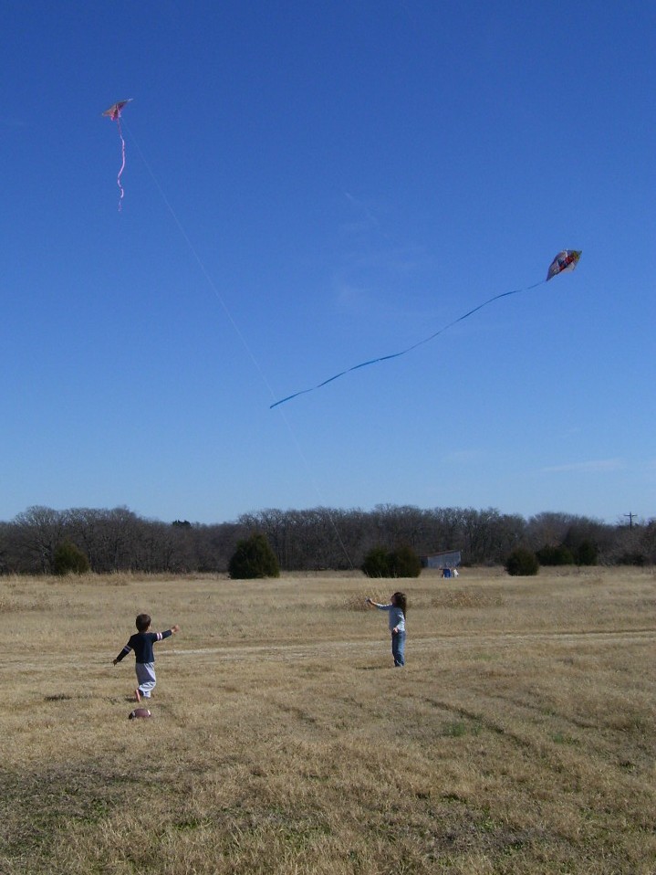 [kites.jpg]
