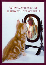 [mirror_cat.jpg]