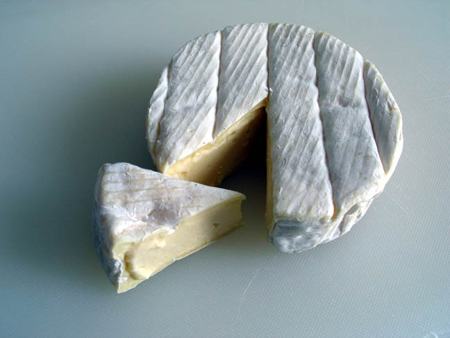 [Camembert_(Cheese).jpg]