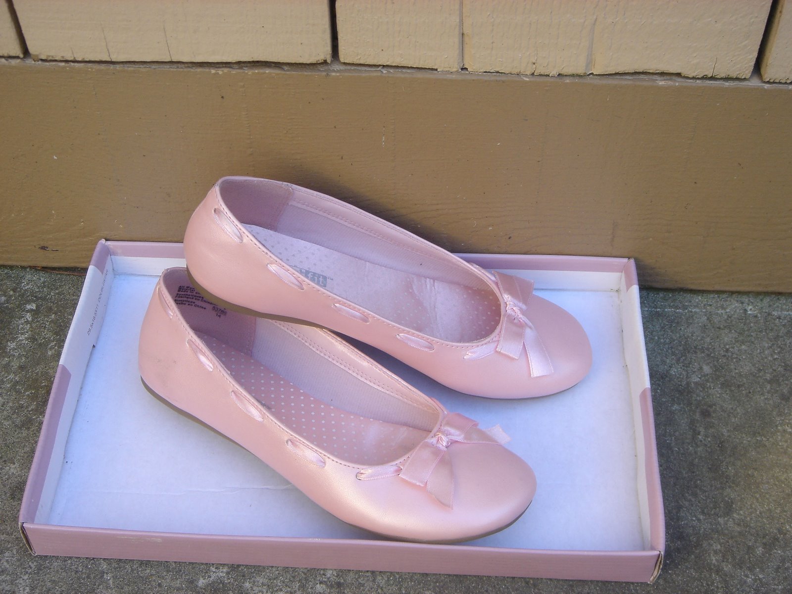 [pinkshoes2.JPG]