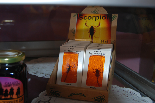 [Scorpion+Candy.jpg]