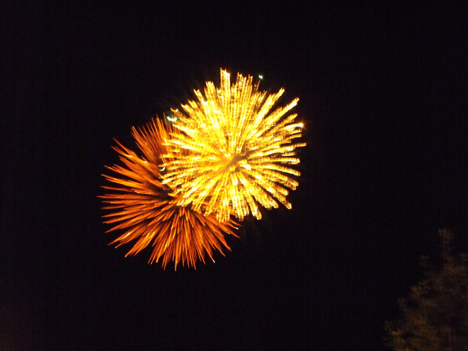 [fireworks+006.JPG]