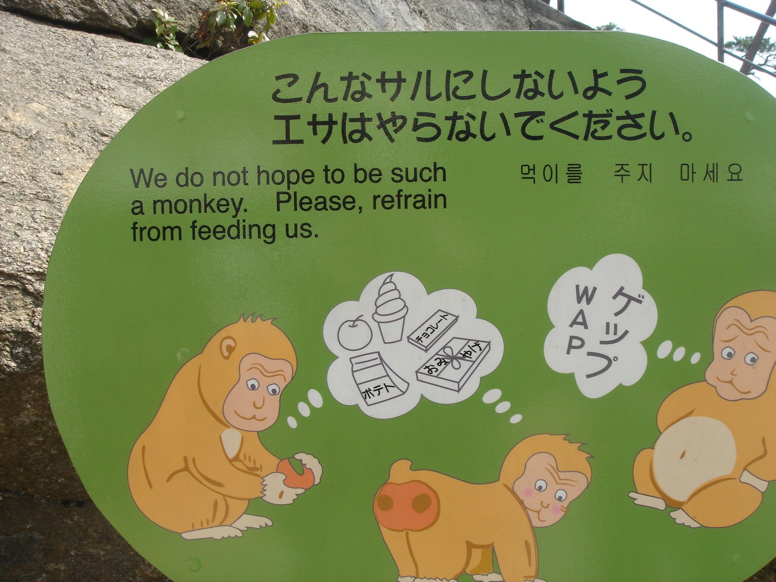 [don't+feed+the+monkeys.JPG]