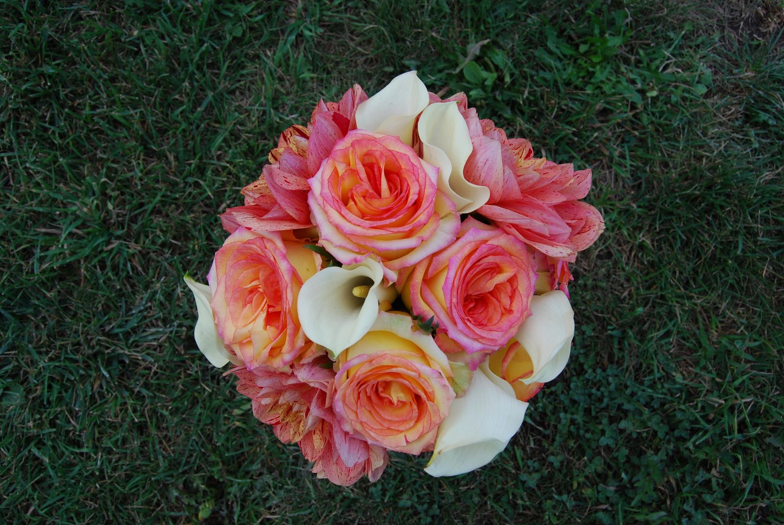 [Bridal+Bouquet.jpg]