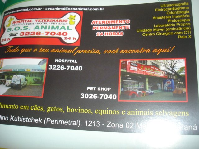 [Revista+-+clinica+veterinaria+02.jpg]