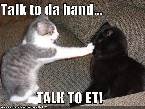 [funny-pictures-cat-talk-to-the-hand.jpg]