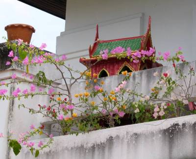 [18+balcony+flowers+and+shrine+sm.jpg]
