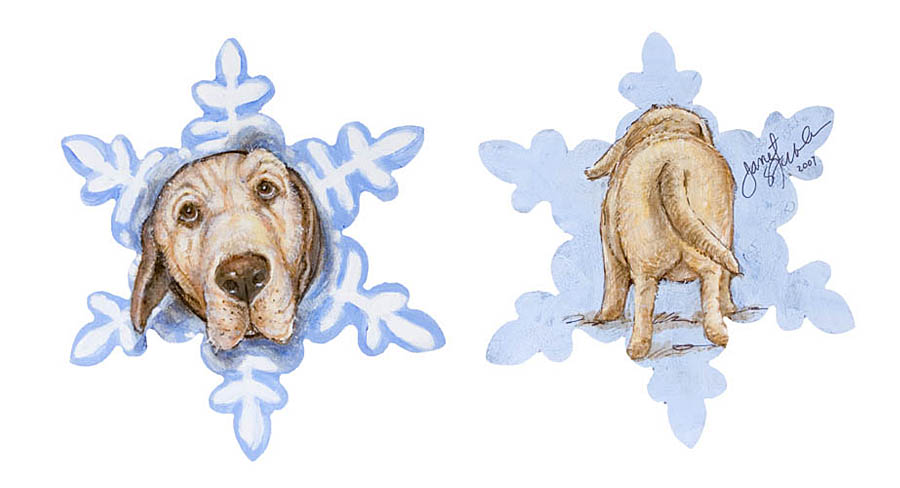 [106_Snowflakes_2007+Snow+Dog+by+J.+Stevens.jpg]