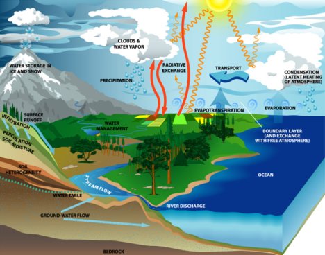 [water-cycle-diagram-green-basics.jpg]