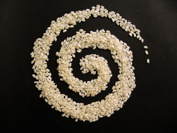 [arroz+espiral.jpg]