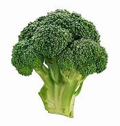 [Broccoli_0.jpg]