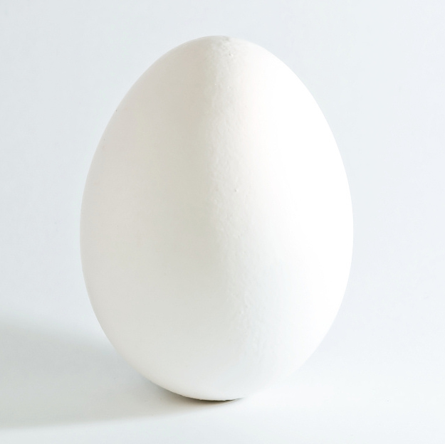 [White_chicken_egg_square.jpg]