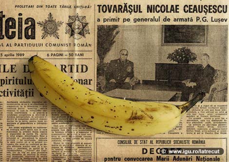 [banane_4567373.jpg]