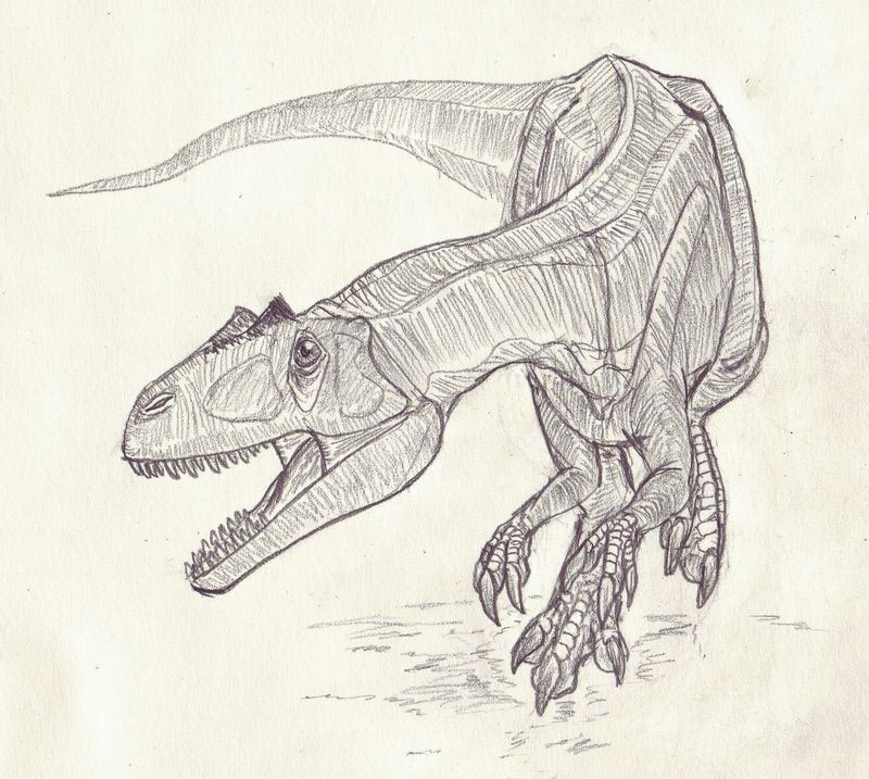 [Allosaurus01.jpg]