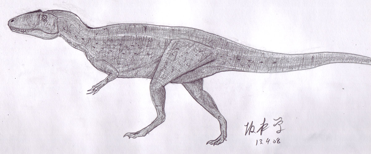 [Sinraptor20080413_Sketch.jpg]