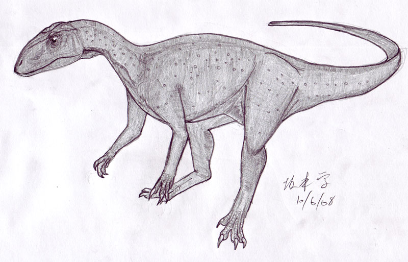 [Thecodontosaurus_20080610_8.jpg]
