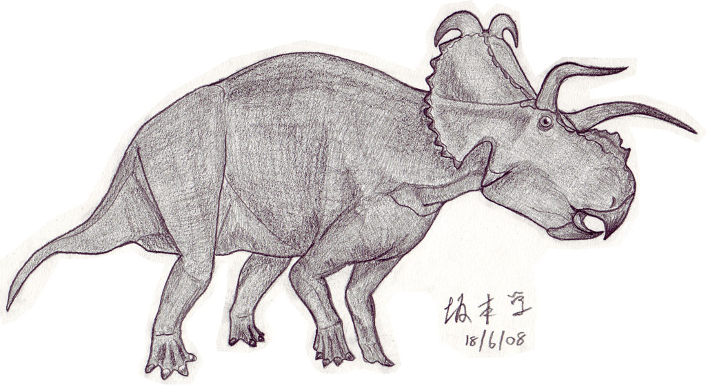 [Albertaceratops_20080618_10.jpg]