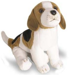 [CD021-Beagle-puppy.jpg]