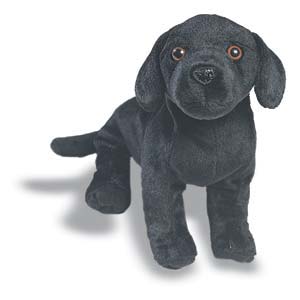[CD014-Black-Labrador-puppy.jpg]