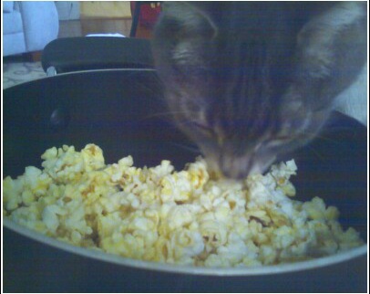 [Popcorn-Cheeto+Closeup2.jpg]