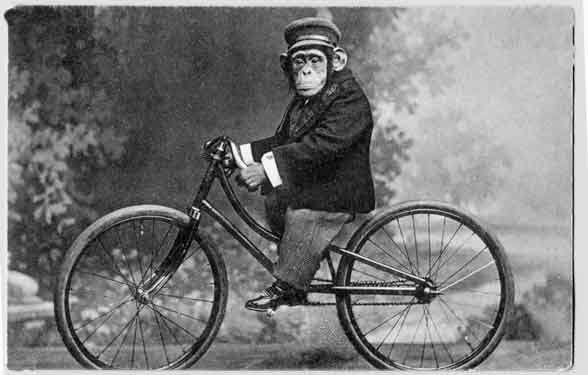 [monkey_on_bicycle_vintage.jpg]