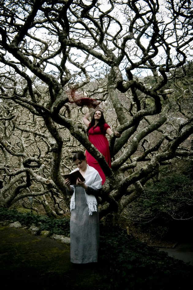 [Jane+Eyre+and+Bertha+tree.jpg]